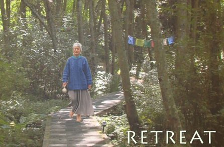 Yoga for 50+ Retreat on Whidbey Island, March 1-3, 2013
