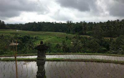 Bali Reflection: Having Gratitude for Having Existence